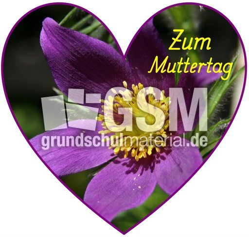 Herz-Foto-Muttertag_29.jpg